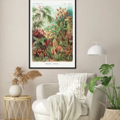 Laubmoose Poster Ernst Haeckel Kunstformen der Natur,Tafel 72