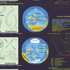 Lebendiger Planet Poster deutsch DIN A1