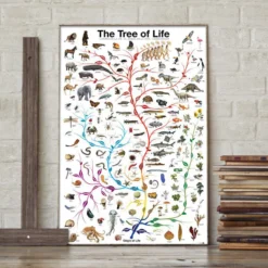 Lebensbaum Poster The Tree of Life