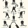 Le Chat domestique et son Caractère