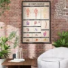 Le Corps humain Poster Der menschliche Körper