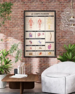 Le Corps humain Poster Der menschliche Körper