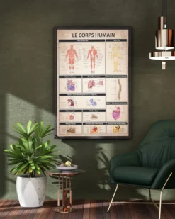 Le Corps humain Poster Der menschliche Körper