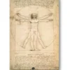 Leonardo da Vinci Poster Anatomy Vitruvian Man