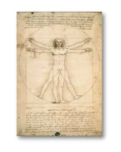Leonardo da Vinci Poster Anatomy Vitruvian Man