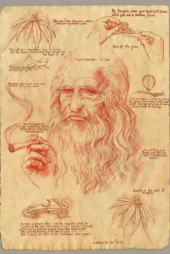 Leonardo Smoking Pot Poster