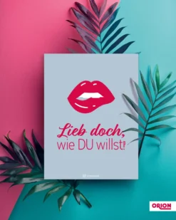 Lieb doch wie DU willst by ORION