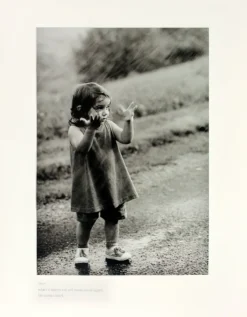 Life comes back Poster