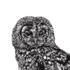 Lucy Francis Kunstdruck Set Tawny Owl, Fox und Stag
