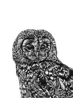 Lucy Francis Kunstdruck Set Tawny Owl, Fox und Stag