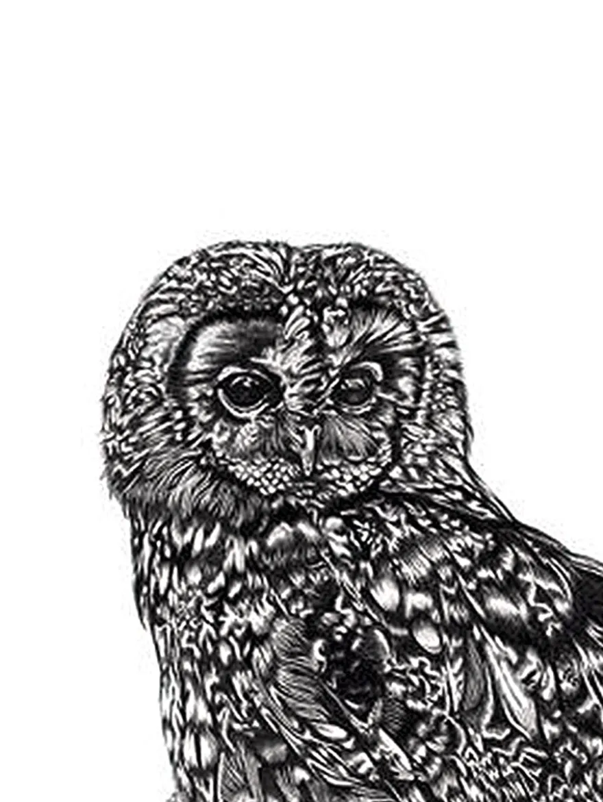 Lucy Francis Kunstdruck Set Tawny Owl, Fox und Stag