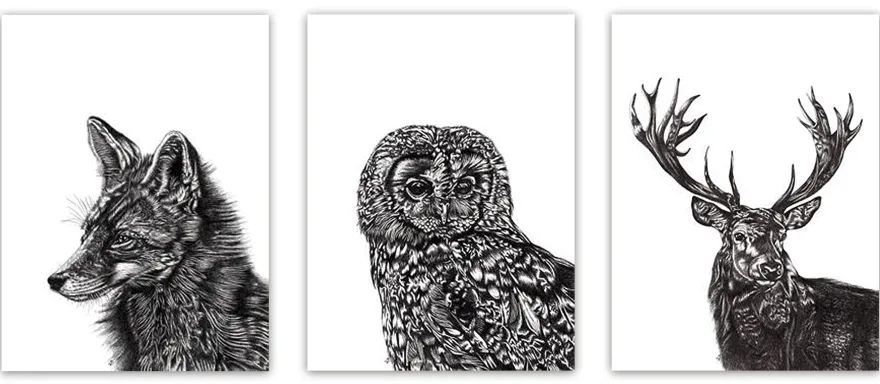Lucy Francis Kunstdruck Set Tawny Owl, Fox und Stag