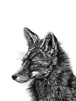 Lucy Francis Kunstdruck Set Tawny Owl, Fox und Stag