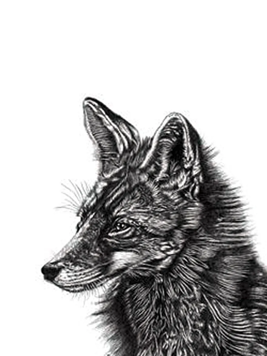 Lucy Francis Kunstdruck Set Tawny Owl, Fox und Stag