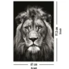 Löwe Poster Black & White Christian Meermann