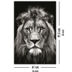 Löwe Poster Black & White Christian Meermann