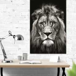 Löwe Poster Black & White Christian Meermann