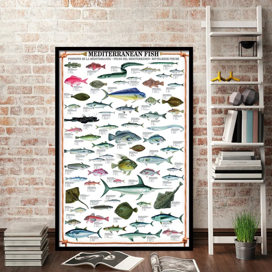 Mediterranean Fish Kunstdruck + 2 St. Posterleisten