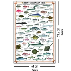 Mediterranean Fish Kunstdruck + 2 St. Posterleisten