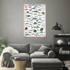 Mediterranean Fish Kunstdruck + 2 St. Posterleisten