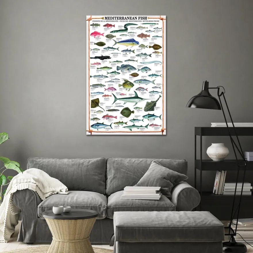 Mediterranean Fish Kunstdruck + 2 St. Posterleisten