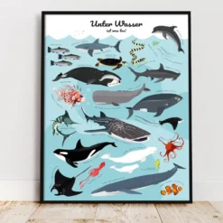 Meerestiere Poster Unter Wasser ist was los!