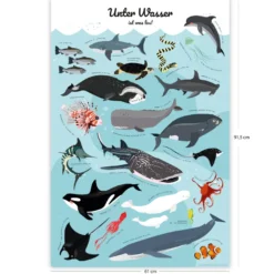 Meerestiere Poster Unter Wasser ist was los!