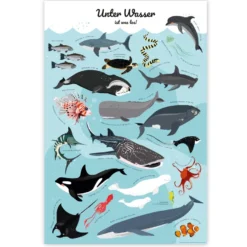 Meerestiere Poster Unter Wasser ist was los!