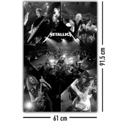 Metallica Poster Live