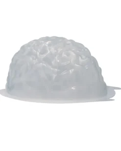Mold Gehirn- und Herz- Pudding form 2er Set