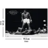 Muhammad Ali vs. Sonny Liston Poster