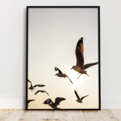 Möwen Kunstdruck Din A3