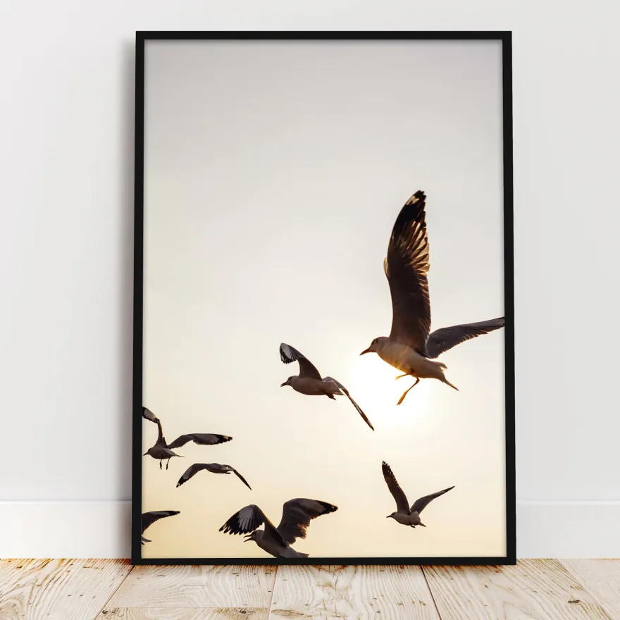 Möwen Kunstdruck Din A3