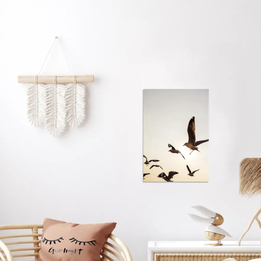 Möwen Kunstdruck Din A3