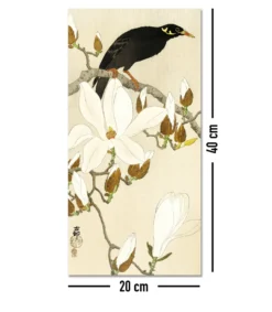 Myna Bird On Magnolia Branch Kunstdruck | Ohara Koson | 20x40 cm