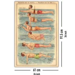 Natation Poster nach Friedrich Eduard Bilz