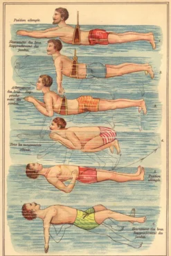 Natation Poster nach Friedrich Eduard Bilz