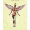 Nirvana Poster In Utero