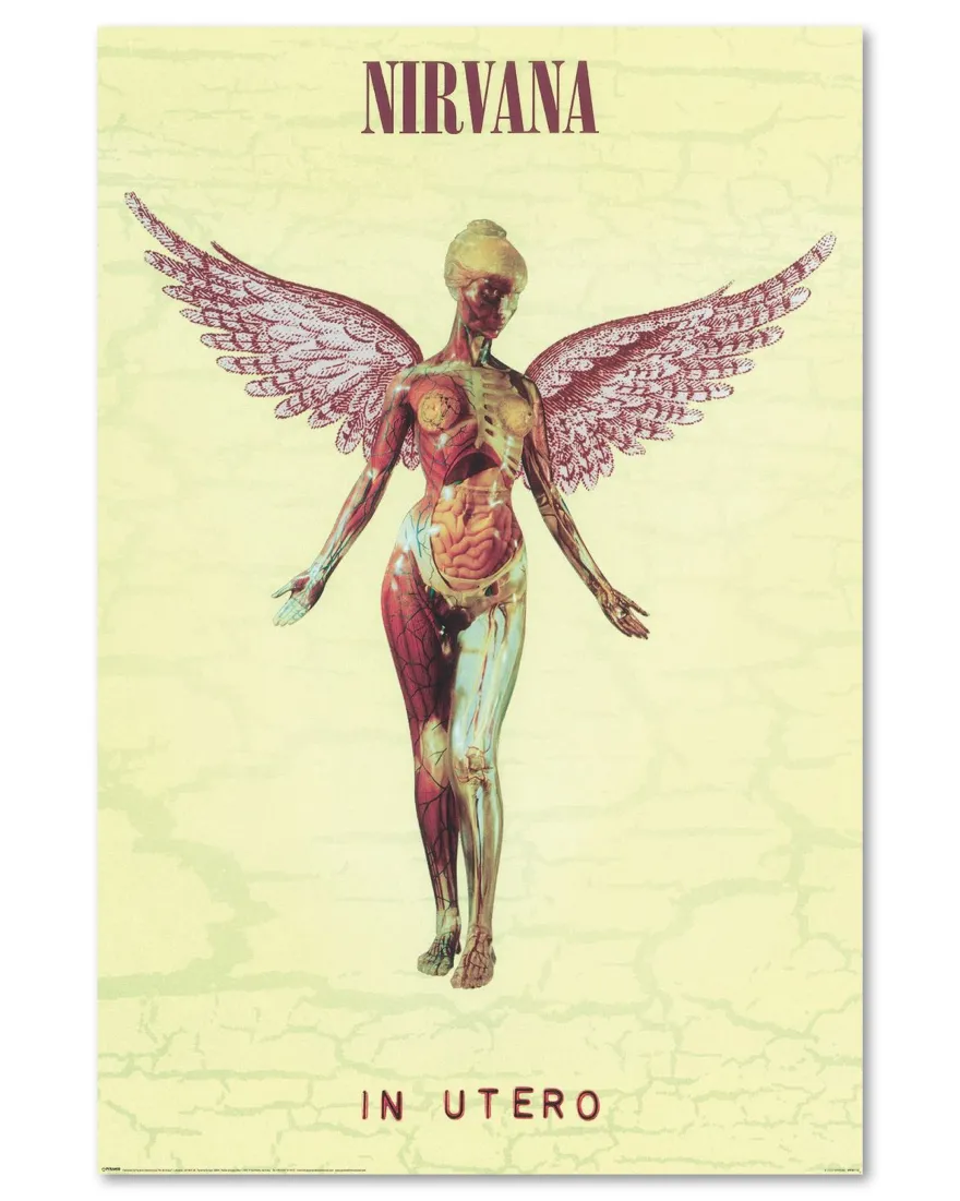 Nirvana Poster In Utero
