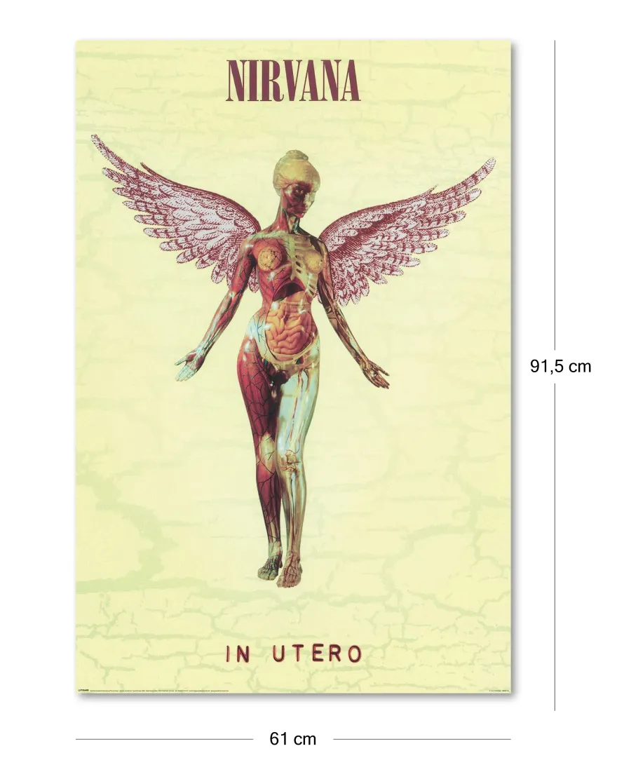 Nirvana Poster In Utero