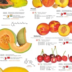 Obst und Nüsse Poster deutsch DIN A1