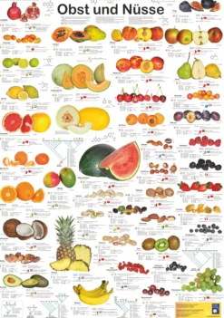 Obst und Nüsse Poster deutsch DIN A1
