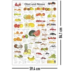 Obst und Nüsse Poster deutsch DIN A1