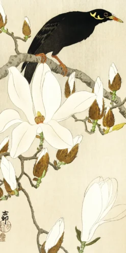 Ohara Koson Kunstdruck 3er-Set Papier 250 gr. matt