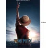 One Piece Poster | Luffy - Into The Gand Line | 61x91,5 cm