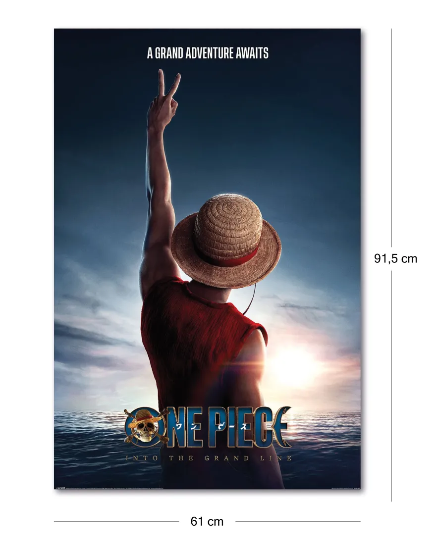 One Piece Poster | Luffy - Into The Gand Line | 61x91,5 cm