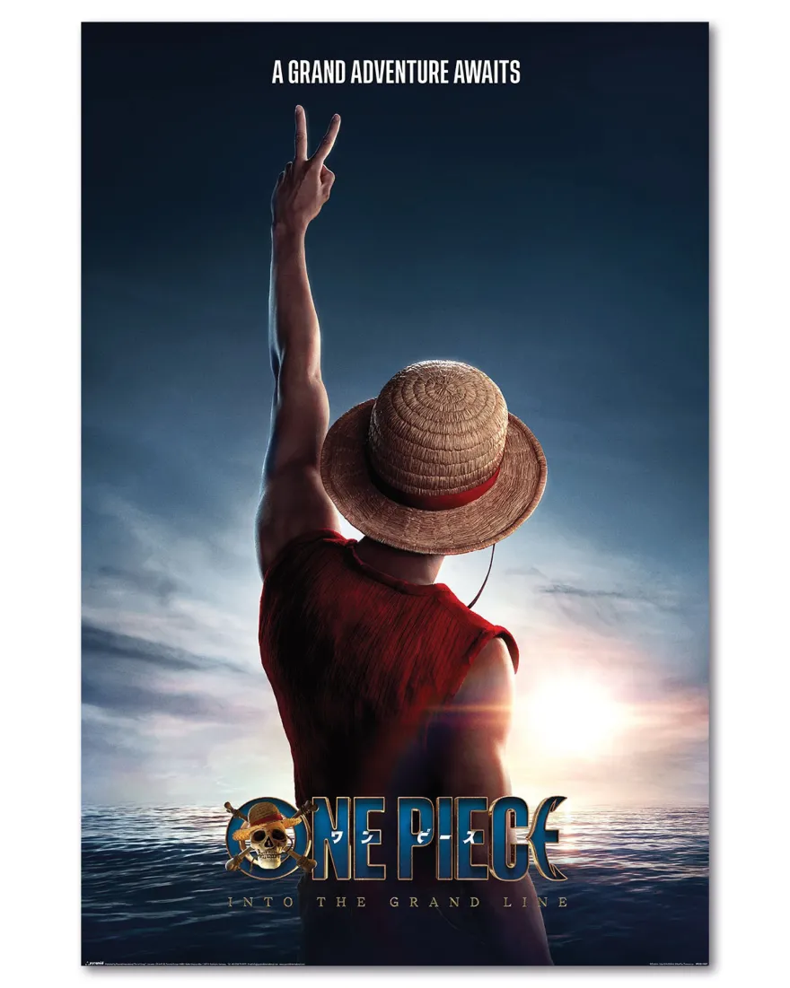 One Piece Poster | Luffy - Into The Gand Line | 61x91,5 cm