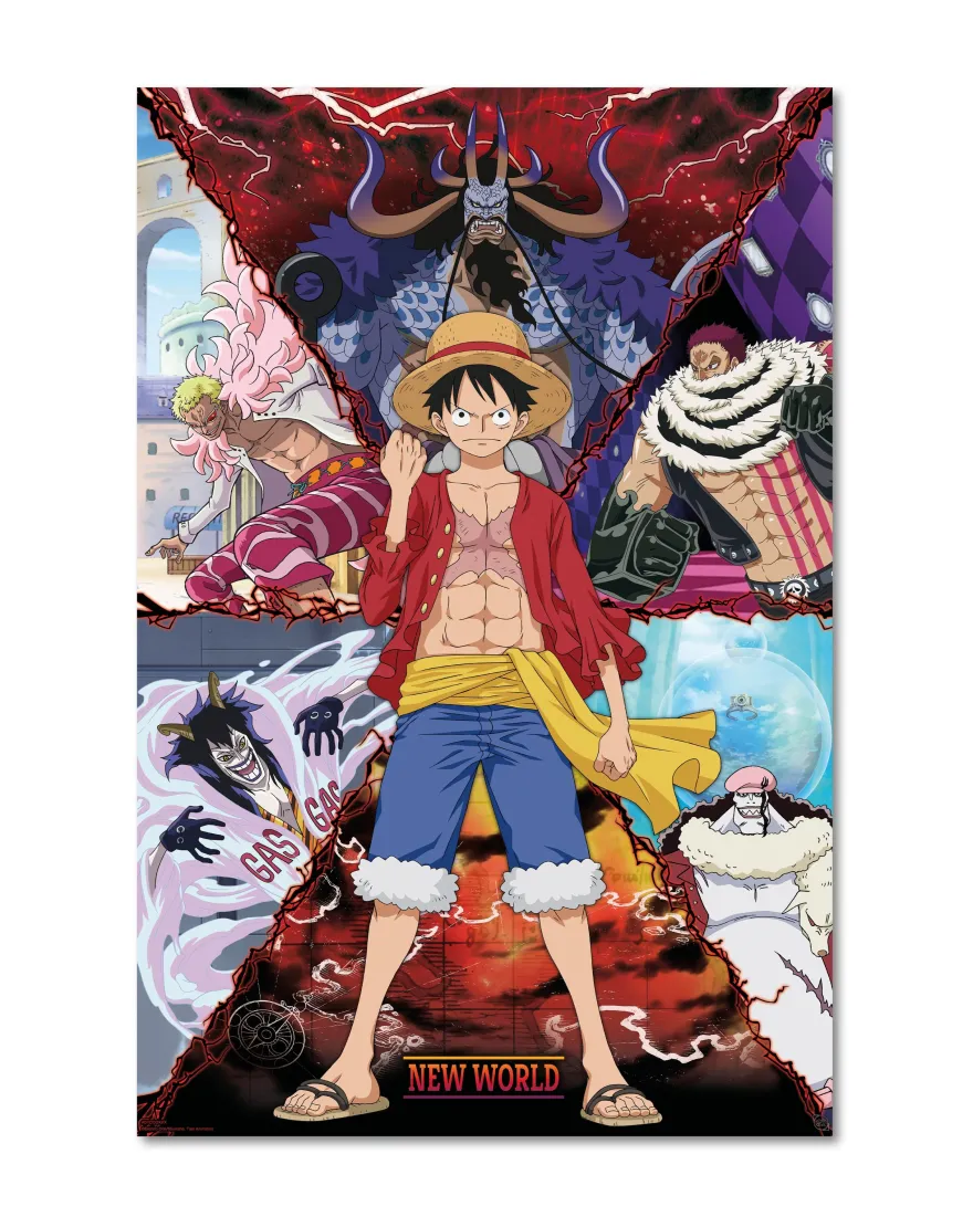 One Piece Poster Luffy.. vs. New World