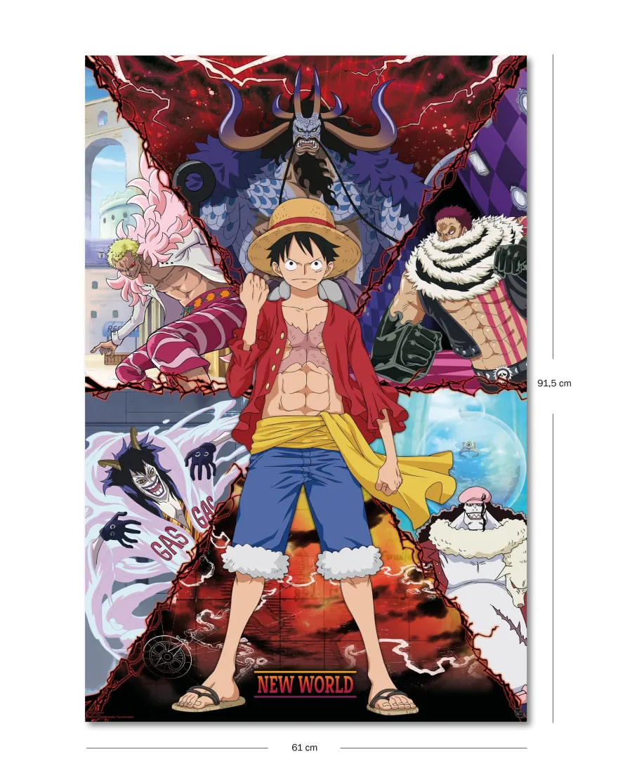 One Piece Poster Luffy.. vs. New World
