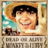 One Piece Poster Wanted Monkey D. Luffy